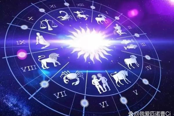 生命灵数5像什么星座