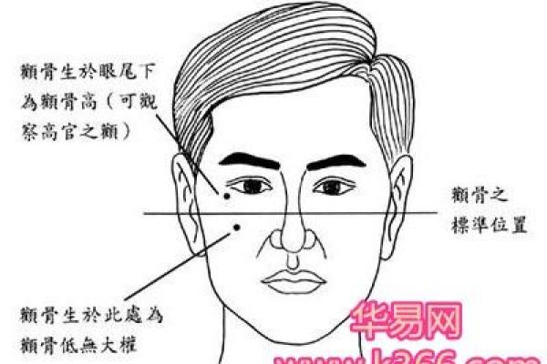 颧骨面相算命