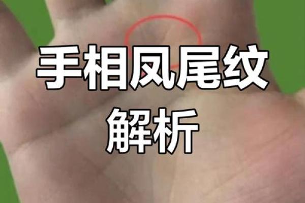 女性手掌感情线算命图解 感情线不清晰的人没有主见