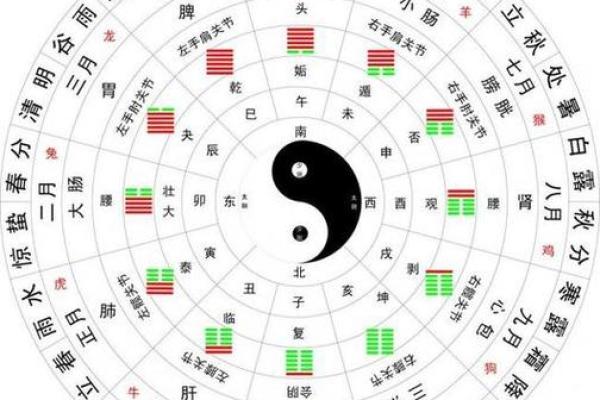 周易测事业方向,免费八字测