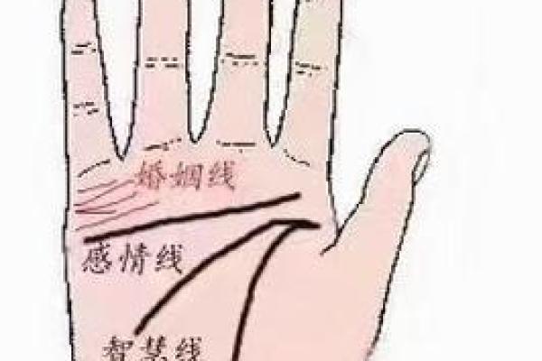 手相算命话语,手相算命说法
