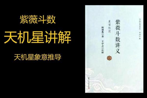 紫薇斗数中的星