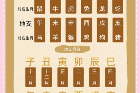 八字命理基础知识八字算命入门
