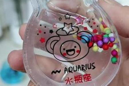 十二星座的玩具和家具一样吗