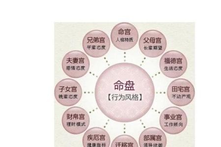 小说：高人给姚家两个新生儿算命，命格完全相反，老夫人一脸了然