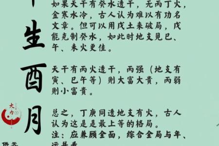 八字巳月