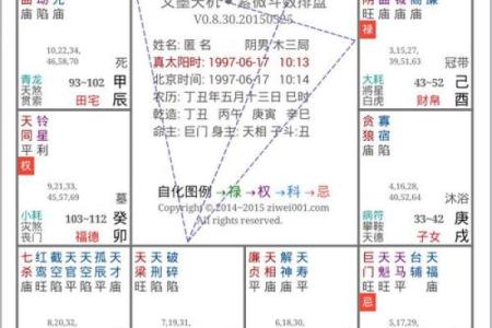 紫薇命盘紫薇斗数