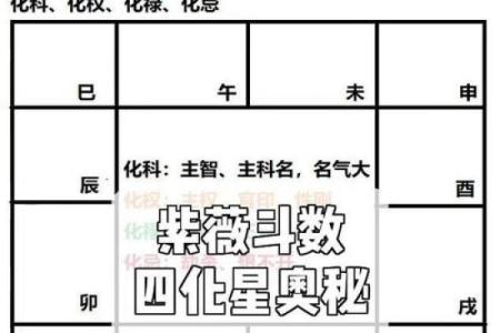 紫薇斗数中的星