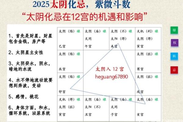 紫微斗数化忌对照 紫微斗数化忌入各宫？