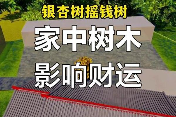 房子周围栽树风水