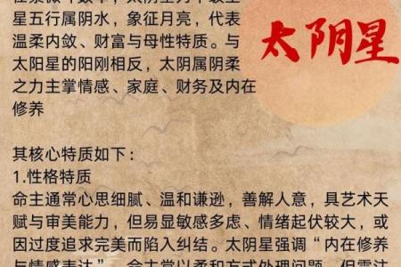 倪师设计紫薇斗数