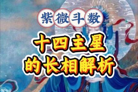 紫薇斗数夹主星
