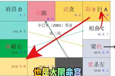紫微斗数案例13姻缘：夫妻宫无主星，桃花太旺伤婚姻的命盘