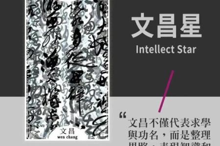 紫薇斗数比塔罗