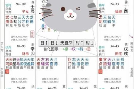 紫薇斗数换工作