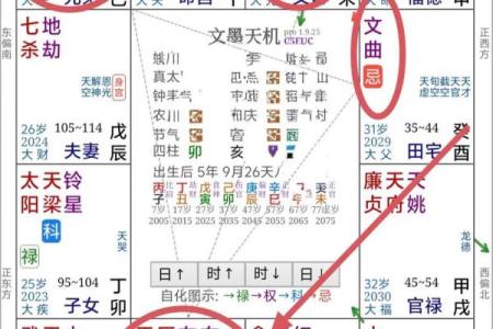 紫薇斗数工作