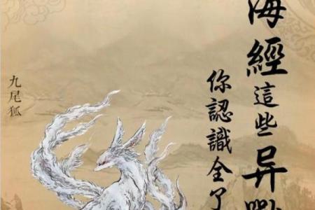 解答风水中九尾狐的寓意和象征意义