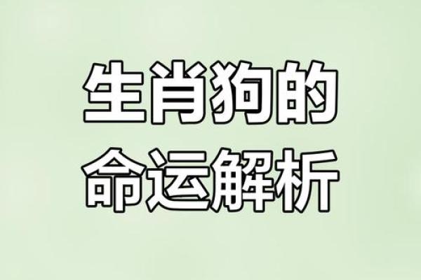 1994年生肖狗命的八字分析与运势预测