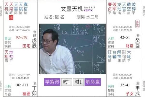 电脑紫薇斗数软件