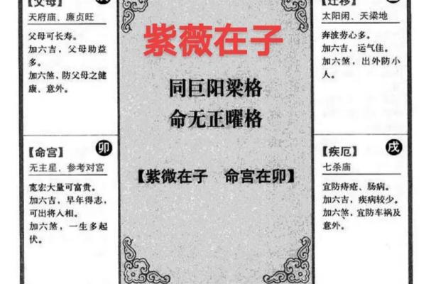 紫薇斗数紫薇分宫论