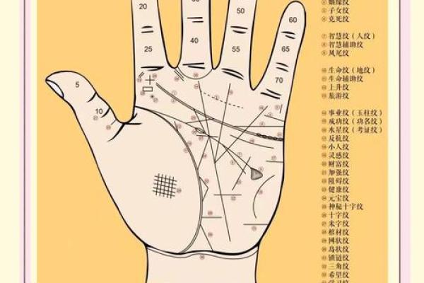 手相风水：命运线中间断开象征什么意义