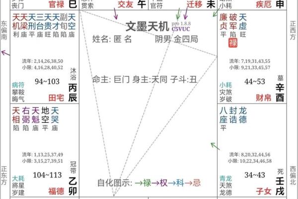 紫薇斗数养母养大