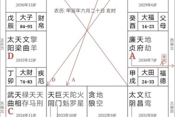紫微斗数之财帛宫在亥宫 ，是什么意思？
