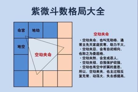 除了紫薇斗数还有什么斗数