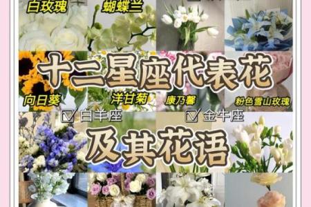 十二星座专属守护花都有哪些呢