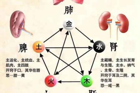 火命八字缺火