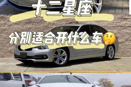十二星座最适合的车排名图片