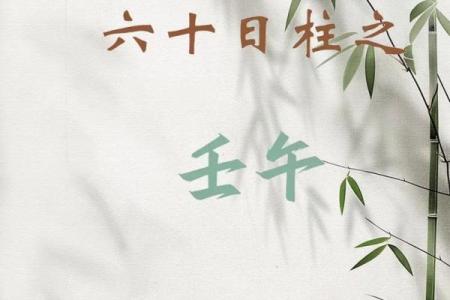八字日柱壬子的命理详批