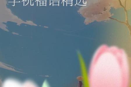 八字贺词