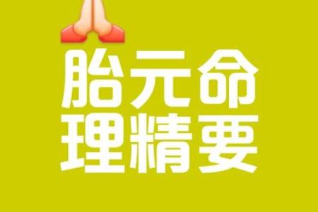 胎元八字