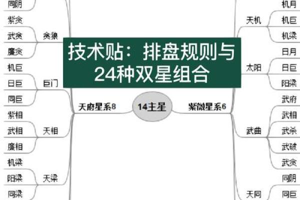 紫薇斗数占卜详解