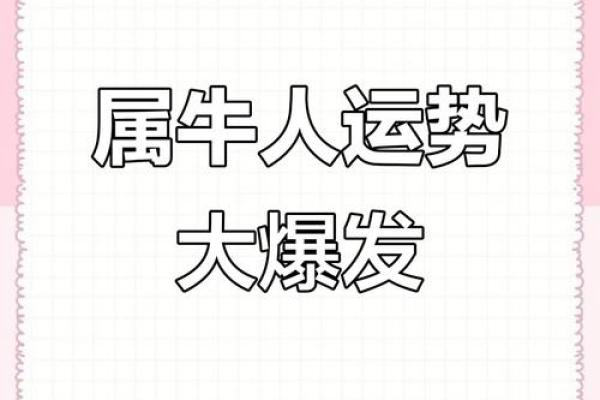 紫薇星年运势