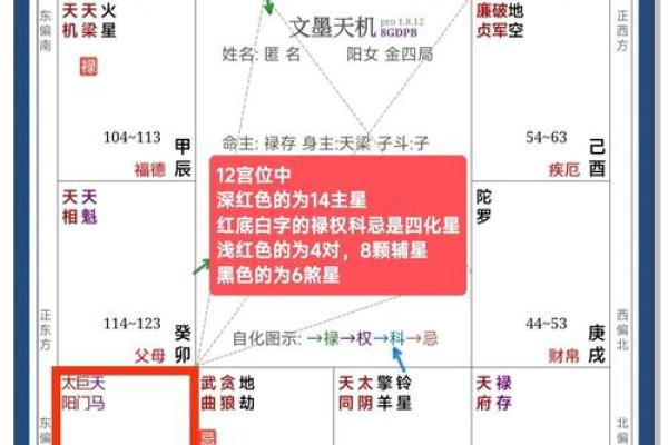 紫薇斗数星大全