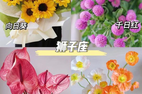 十二星座的专属花都有哪些呢