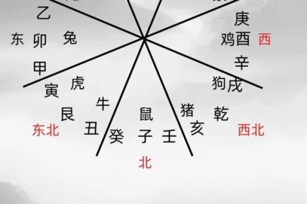 2024年12月14日出生的男宝宝八字命理 善言健谈欠缺沉着