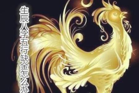 配偶对自己痴情的八字 重感情的男人八字