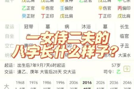 乙卯日柱出生男女八字命运