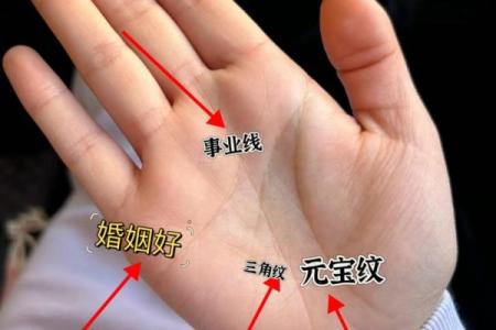 罕见的掌纹手相算命和图解