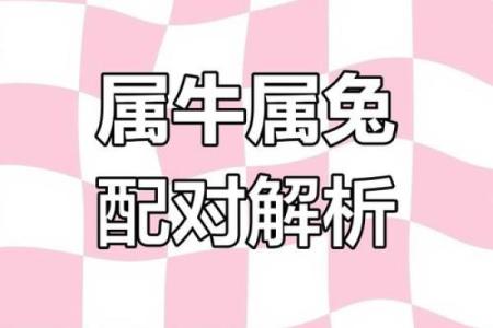合婚姻属兔和属鸡的八字配不配 能做夫妻吗
