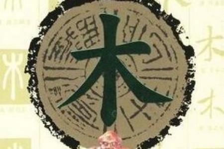 八字为木的字有哪些,八字缺木最吉利的字
