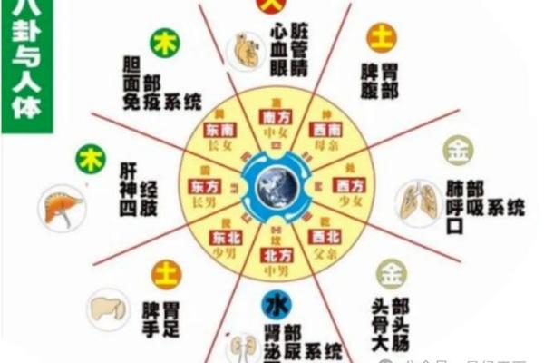 风水布局中的五行定律