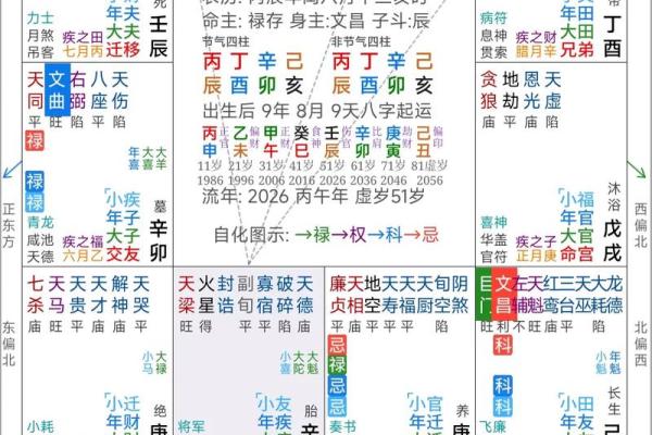 怎么排紫薇斗数