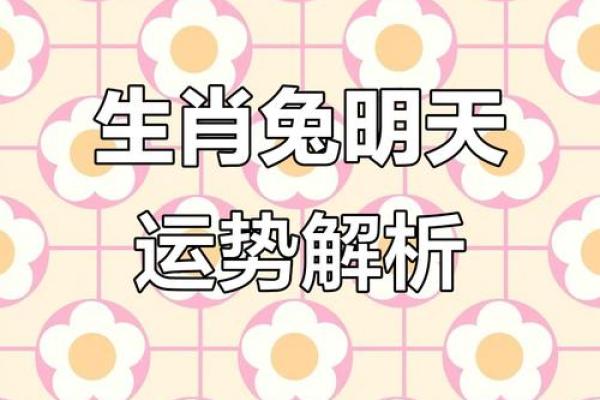 一个兔子头的星座运势