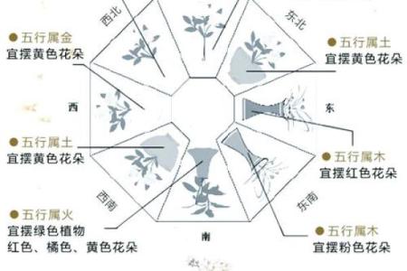 风水布局中的五行定律