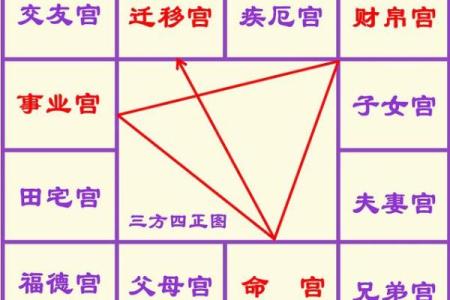 怎么排紫薇斗数