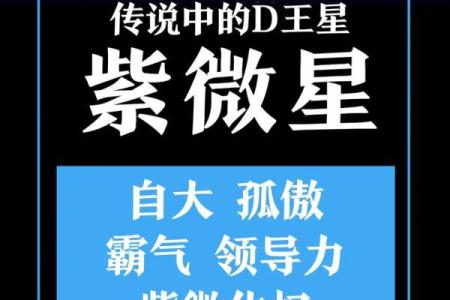 紫薇斗数中日元是什么